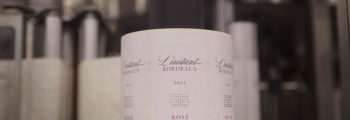 Création of a daring rosé: L’Instant Bordeaux Rosé