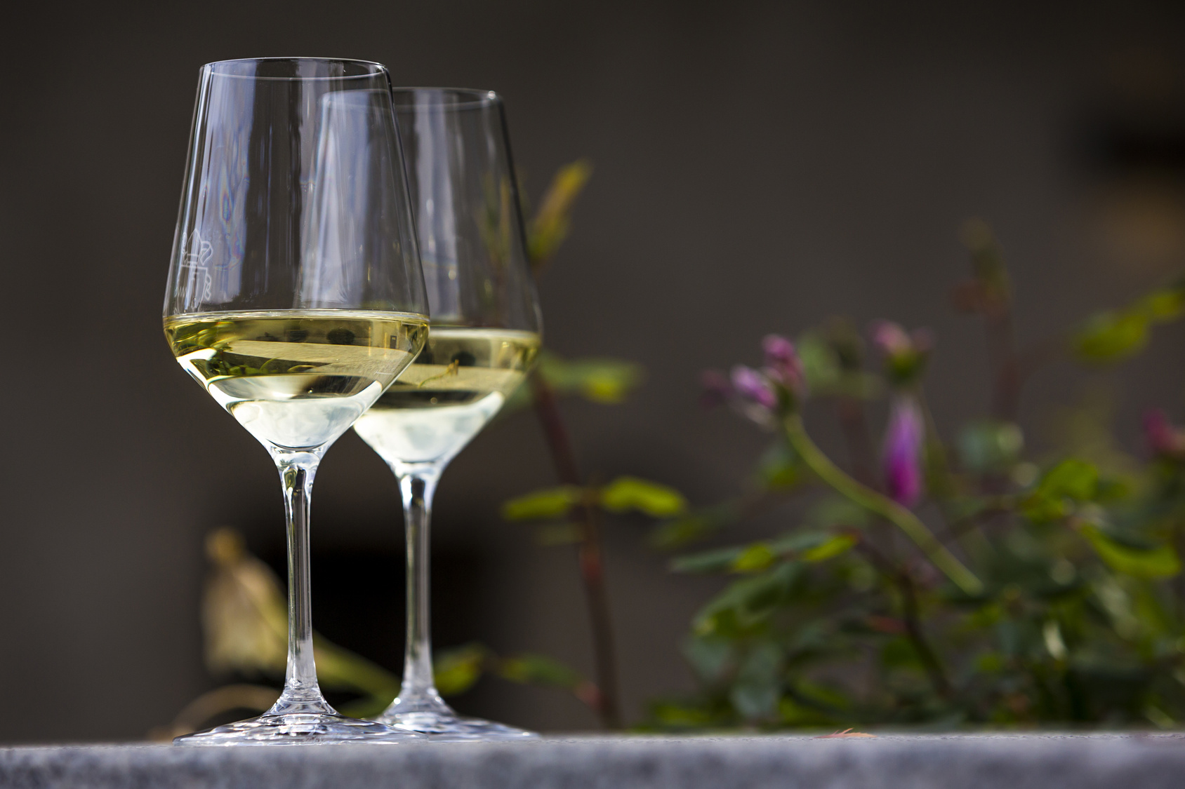 Qu'est-ce qu'un vin blanc sec ?