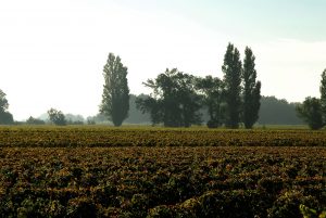 Maison Bertrand Ravache - Château Armens